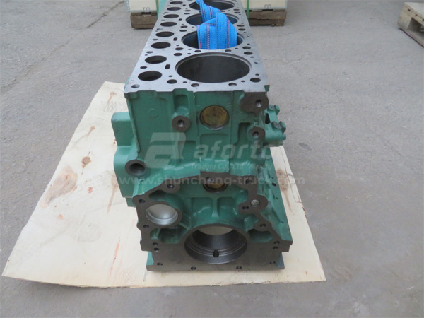 Блок двигателя D10 LYZA