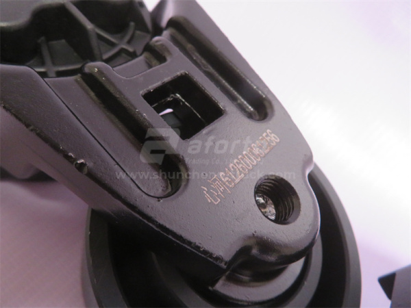 Шкив натяжителя ремня WP10 1256 XINHE