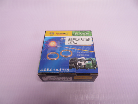 Сальник клапана WD615/WD618/WP10 Euro II QINYAN