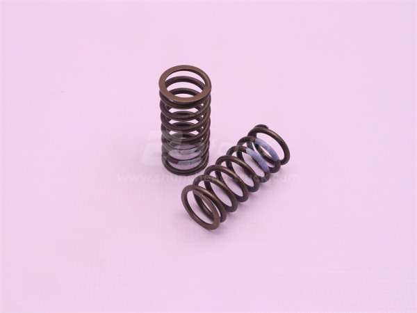 Пружина клапана ДВС MAN MC11