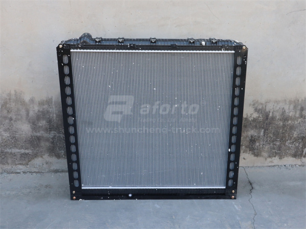 Радиатор охлаждения SHAANXI X6000 2002