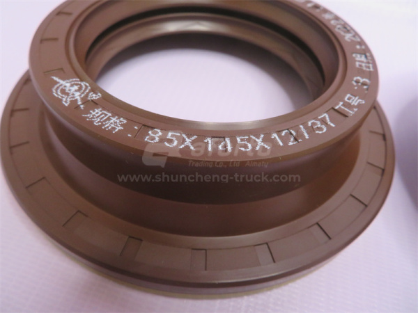 Сальник дифференциала AC16/MCP16/NORD BENZ 85*145*12/37 заднего моста QINYAN