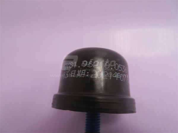 Подушка кабины SHAANXI F2000/L3000 QINYAN