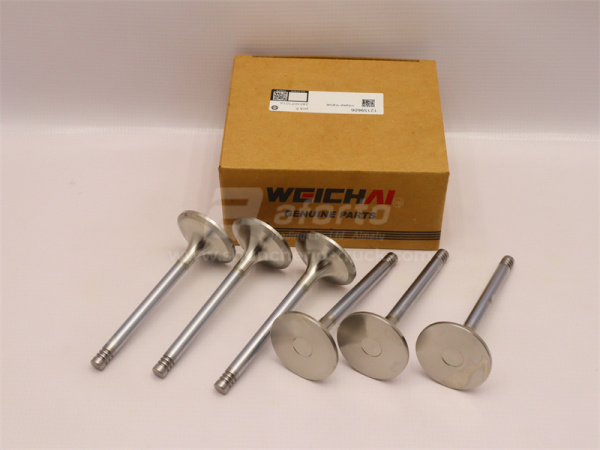 Клапан ДВС впускной WEICHAI DEUTZ WP6G125E22/TBD226B-6IIC (6 шт) (оригинал)