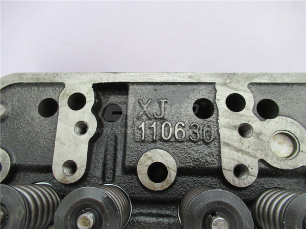 Головка цилиндра XINCHAI C490BPG-236/300/A490BPG
