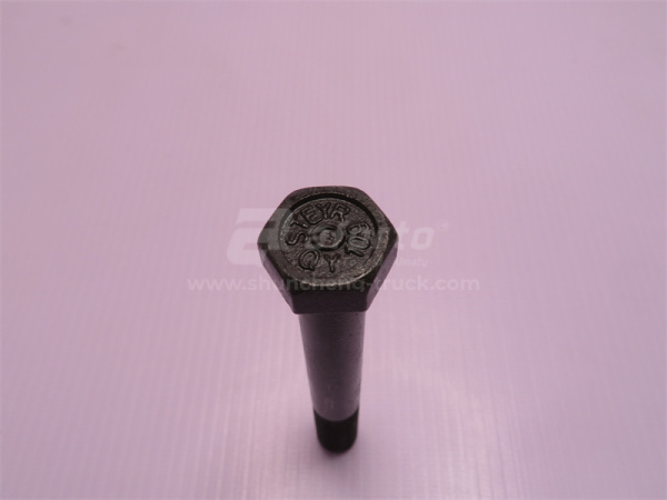 Болт 12*95*1.5 корпуса сателитов бортового редуктора STEYR QINYAN