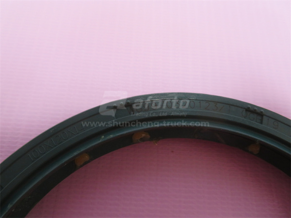 Сальник дифференциала HOWO 70T AC26 100*120*14 (2шт) (оригинал)