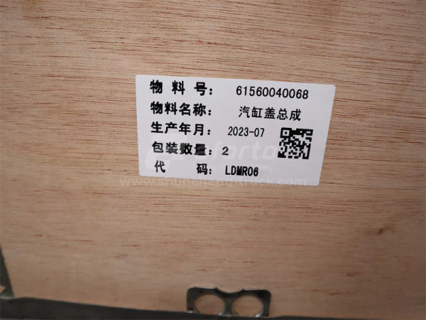 Головка блока SINOTRUK Euro II EVB (2 клапана) в сборе с клапанами