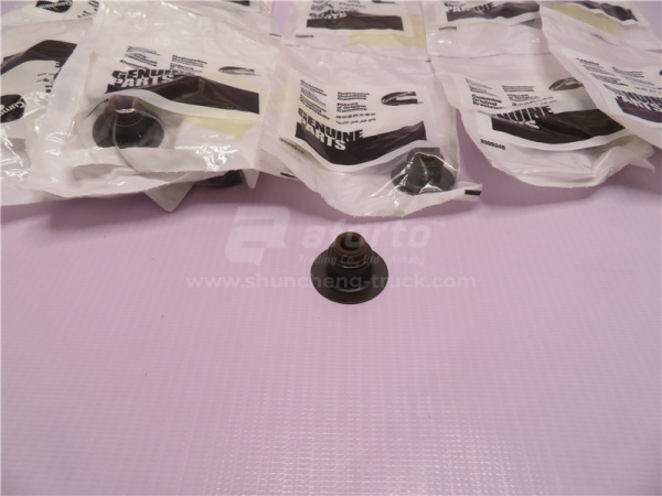 Сальник клапана E4-25R-030274