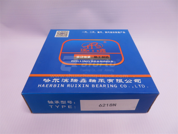 Подшипник дифференциала STEYR межосевого задний 6019Z/60119