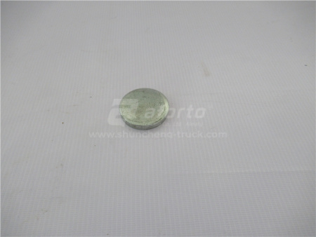 Пластина на вал катка SHANTUI SD32