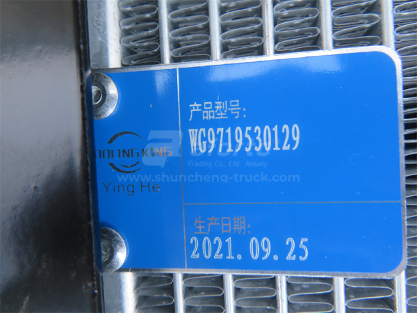 Радиатор охлаждения HOWO пластмассовый новая модель