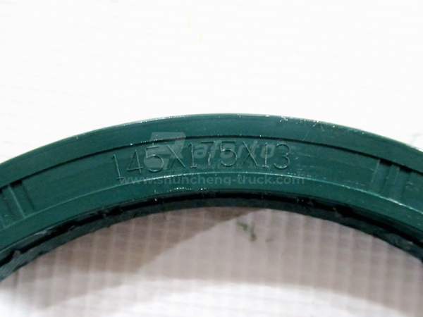 Сальник ступицы задней HANDE TGX (оригинал)