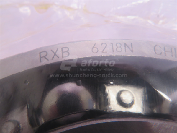 Подшипник дифференциала STEYR межосевого задний 6019Z/60119