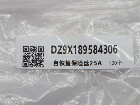 Предохранитель 25A SHAANXI X3000