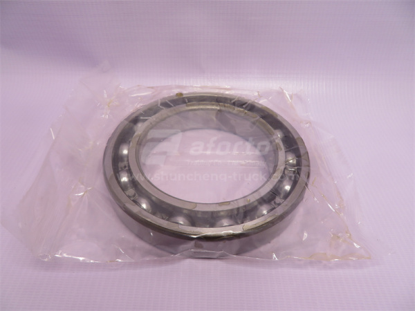 Подшипник дифференциала STEYR межосевого задний 6019Z/60119