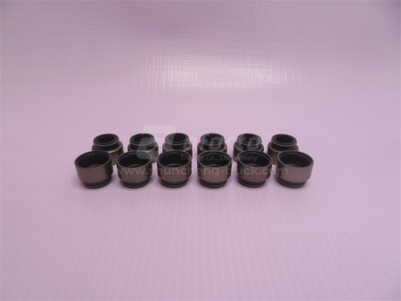 Сальник клапана Euro I 67