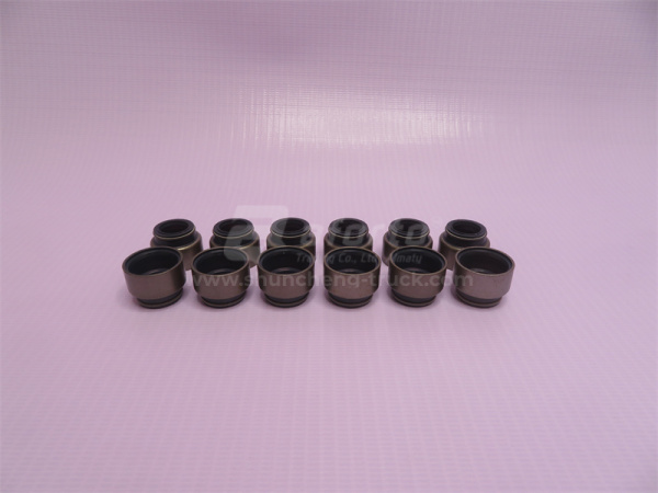 Сальник клапана Euro I 67