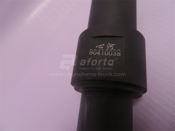 Палец тормозных колодок опорный STEYR передних XINHE