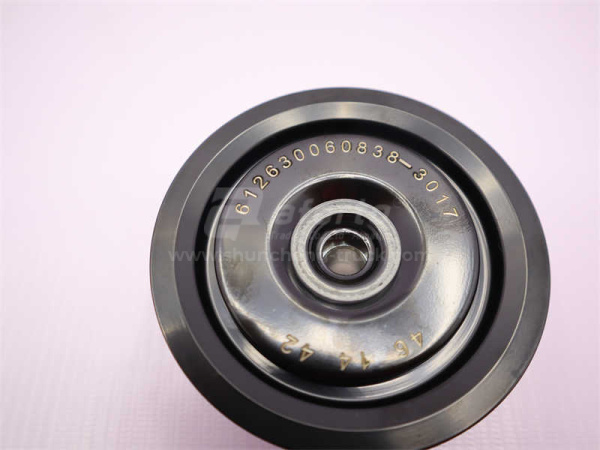 Шкив натяжителя ремня WP12 0004/0838 (оригинал)