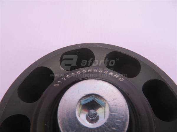 Шкив натяжителя ремня поликлинового ремня WD615/WP10 XINHE