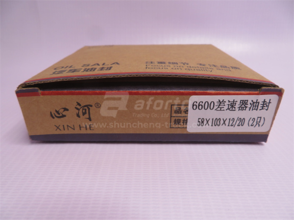 Сальник дифференциала JIANGHUAI 6700 85*103*12/30 XINHE