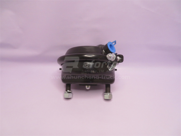 Энергоаккумулятор JWZ переднего моста SORL