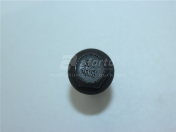 Болт с шляпкой 8*25*1.25 Фланец гидромуфты WP10.380E22