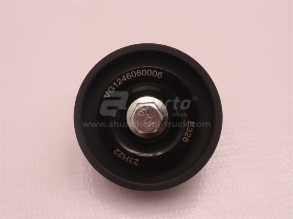 Шкив натяжителя ремня поликлинового ремня D12 0006 (оригинал)