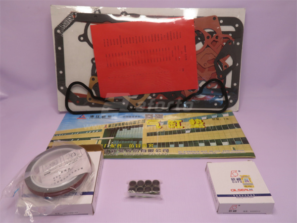 Ремкомплект двигателя XINCHAI C490BPG-236/300 полный (все прокладки +сальн)