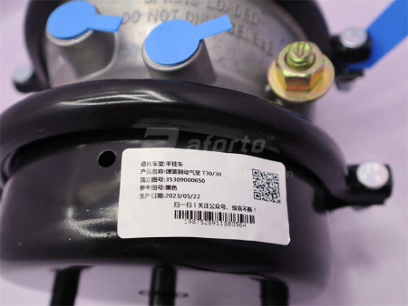 Энергоаккумулятор прицепа заднего моста (шток 270мм) двухкамерный SORL