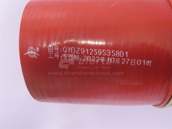 Патрубок интеркулера 100*110 (синий ,S -образный) SHAANXI F2000 QINYAN