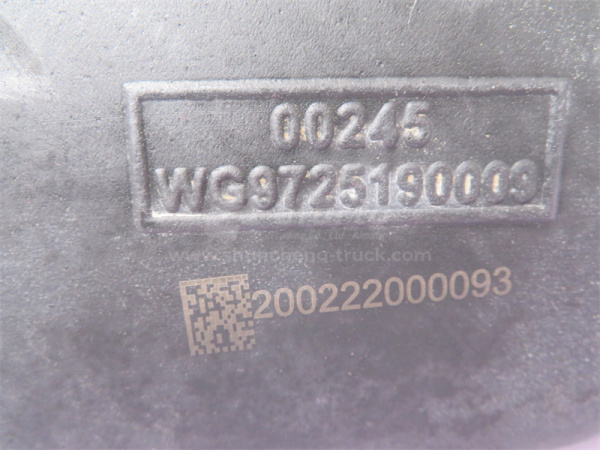 Патрубок воздухозаборника HOWO 0009