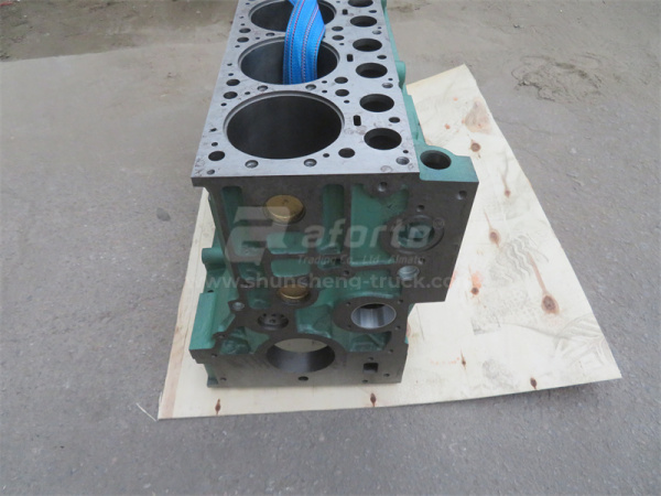 Блок двигателя D10 LYZA