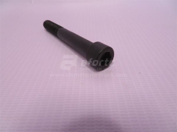 Болт под шестигранник 10*80*1.5 кронштейна ТНВД (хорошее качество)