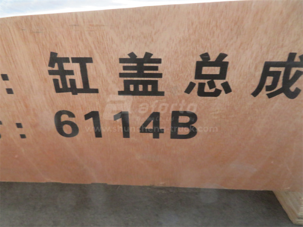 Головка блока SHANGCHAI D6114B в сборе с клапанами без коромысел