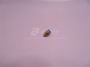 Фитинг воздушный прямой резьба=6mm под трубку Ф6 (металл+пластик) LPC