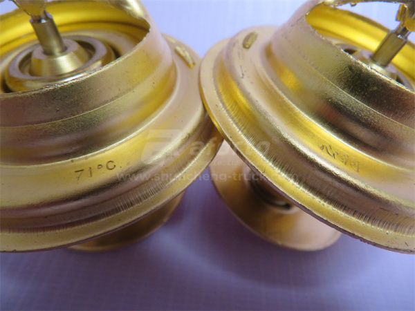 Термостат D12/WP12/WD618 71° XINHE