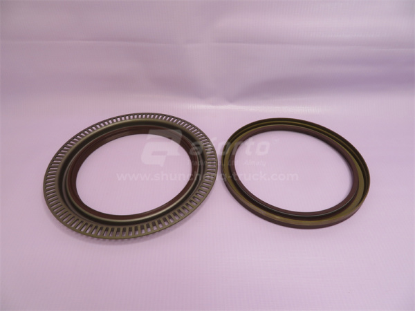 Сальник ступицы задней SHAANXI 145*175*13 QINYAN