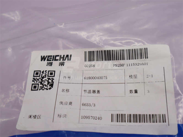 Крышка термостата WD618/WP10 4 (оригинал)