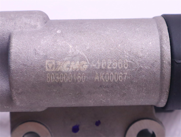 Цилиндр газа главный XCMG кран (оригинал)
