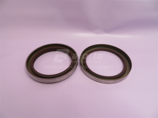 Сальник дифференциала SHAANXI 85*110*13/17 QINYAN