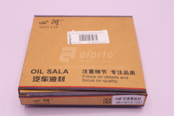 Сальник дифференциала HOWO 70T AC26 100*120*14 (2шт)