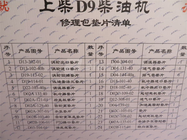 Ремкомплект двигателя SHANGCHAI D9