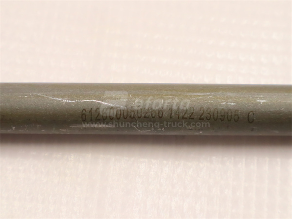 Толкатель WD618/WP12.420E32 (42см) (оригинал)