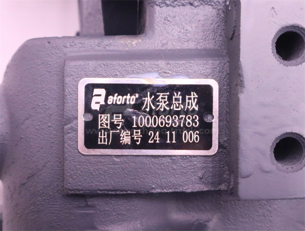 Помпа 1000693783 WP12.430E201/WP12.400E201 AFORTO