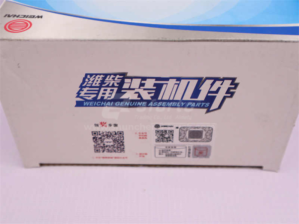 Опора ось коромысел WP10 EVB (оригинал)