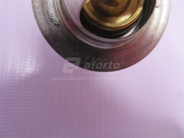 Термостат SHANGCHAI D6114B/D9 77° высокий 52mm