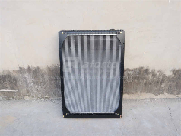 Радиатор охлаждения SHAANXI F3000/X3000 2202/2231/2212