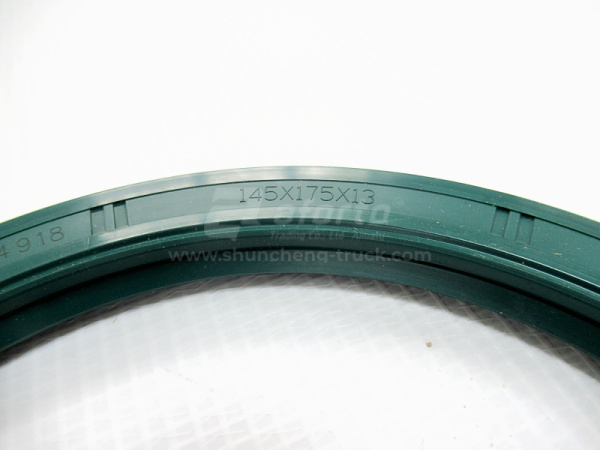 Сальник ступицы задней HANDE TGX (оригинал)